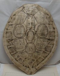 Настенное украшение винтажное Панцирь черепахи (M954)