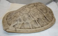 Настенное украшение винтажное Панцирь черепахи (M954)