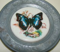 Тарелочки декоративные Бабочки 5 шт. (W997)