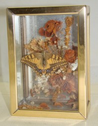 Композиция настенная Бабочка (X519)