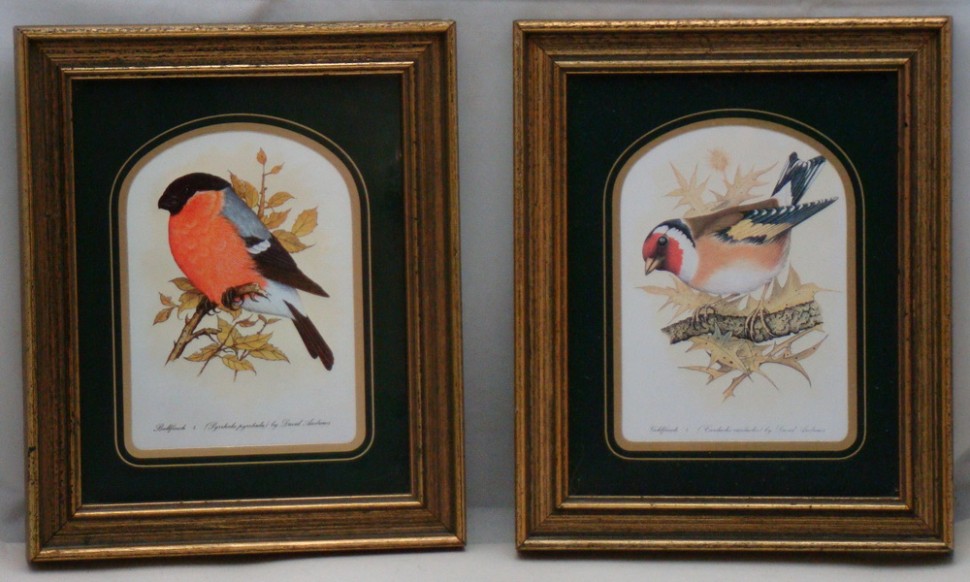 Принты винтажные Снегирь и Щегол (M065)