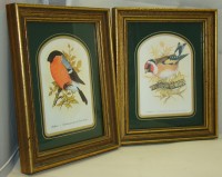 Принты винтажные Снегирь и Щегол (M065)