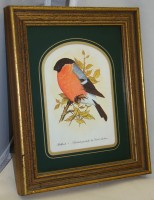 Принты винтажные Снегирь и Щегол (M065)