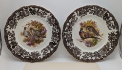 Royal Worcester две винтажные английские тарелки Птицы (A936)