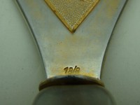 V263C.JPG