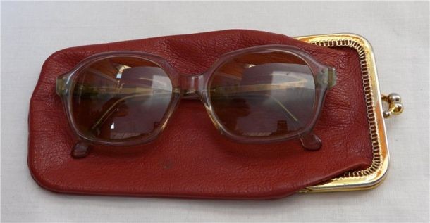 Очки в чехле  (H242)