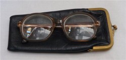 Очки в чехле  (H243)