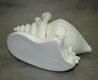Фигурка старинная с лоточком Девушка с ракушкой (A755)