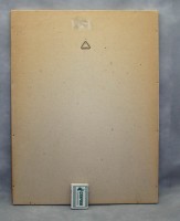 V341C.JPG
