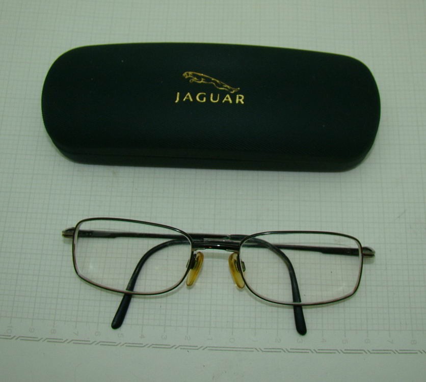 Очки "Ягуар" с футляром (U464)