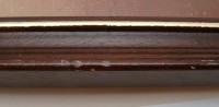 Картина Цветы (A765)