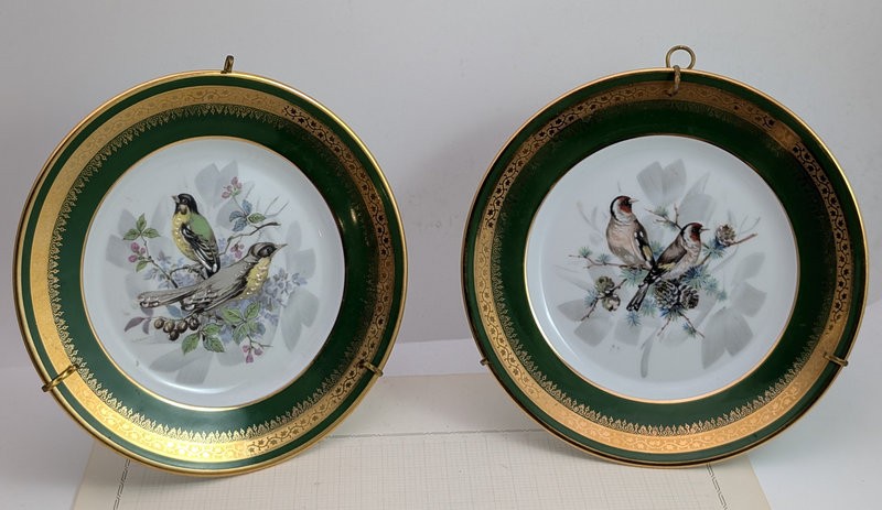 Limoges пара винтажных тарелок Птицы (B159)