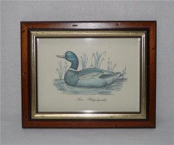 Картина "Утка" в рамке (T188)