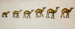 Фигурки литые "Верблюды" 6шт. (E214)