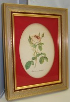 Принт старинный картина Роза (M100)