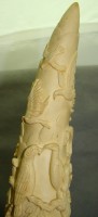 Слоновый бивень сувенирный (X648)