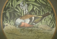 Плакетки репродукции акварель Птицы 2шт. (W206)