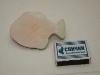 Вешалка крючок настенный Рыбка (A285)