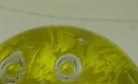 V436D.JPG