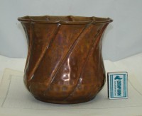 P554B.JPG