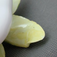 Royal Albert цветок фарфоровый (M117)