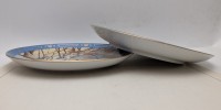 Franklin Mint винтажные декоративные тарелки Птицы 2 шт. (B185)