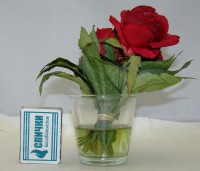 Цветы  искусственные винтажные Розы (W136)