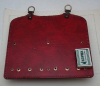 Очечник настенный (P984)