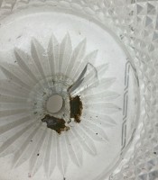 Подсвечник с хрустальным блюдом винтажный (A995)