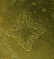 P393F.JPG