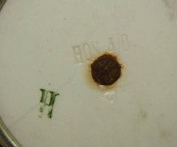 P565F.JPG
