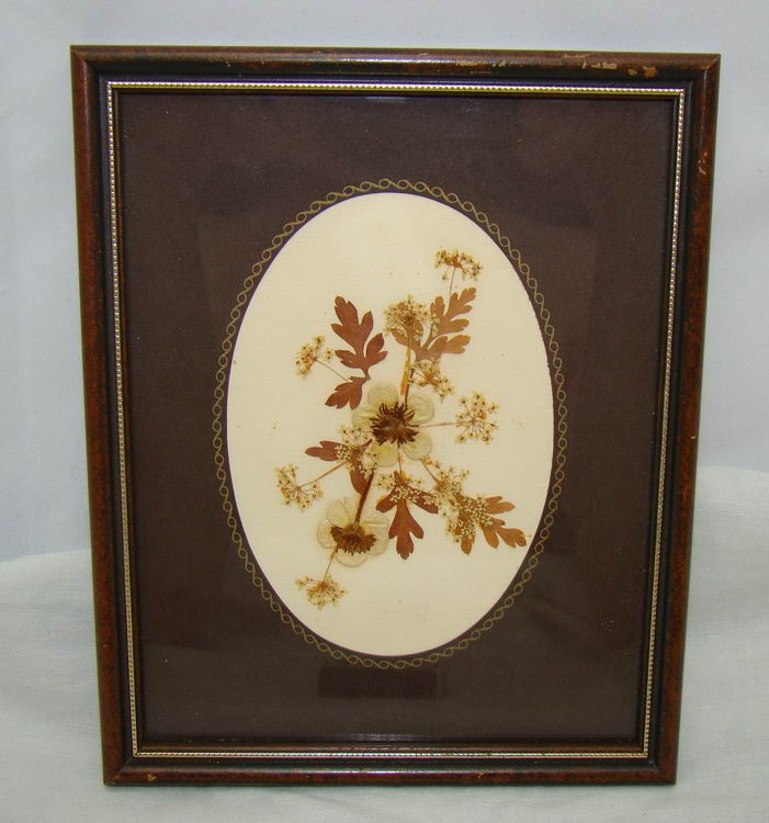 Сухоцвет в рамке (U103)