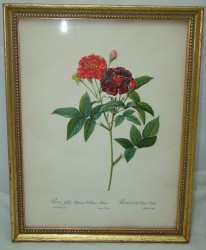 Картинка принт в рамке "Роза" старинная (U105)