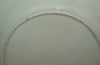 Boch тарелка старинная Охота (M637)