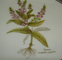 Тарелки винтажные Растения 2 шт. (Y105)