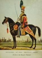 V255C.JPG