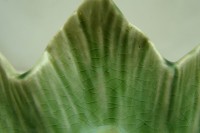 V389L.JPG